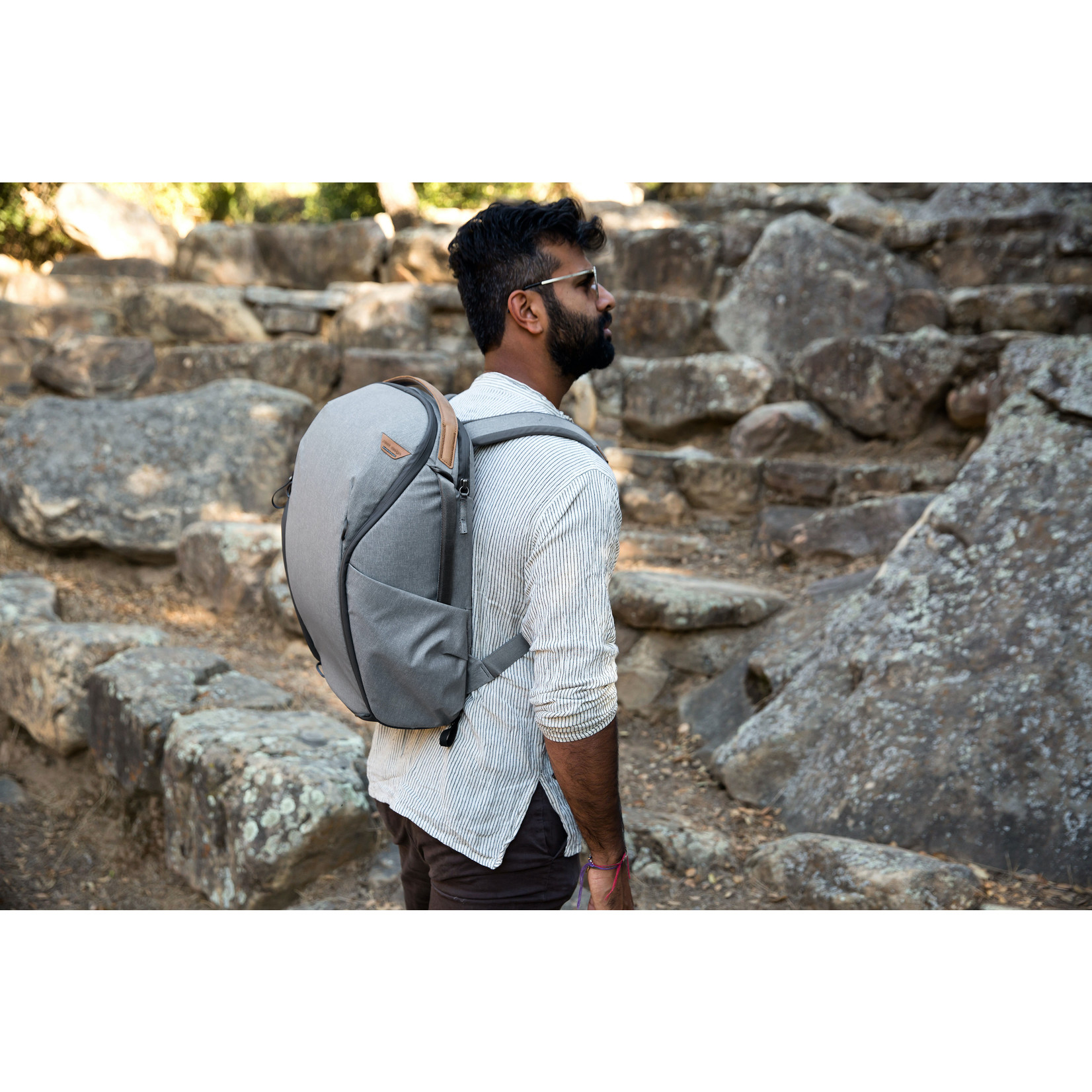 Mochila Backpack Everyday 20L Carbón V2.0 Peak Design – Profoto