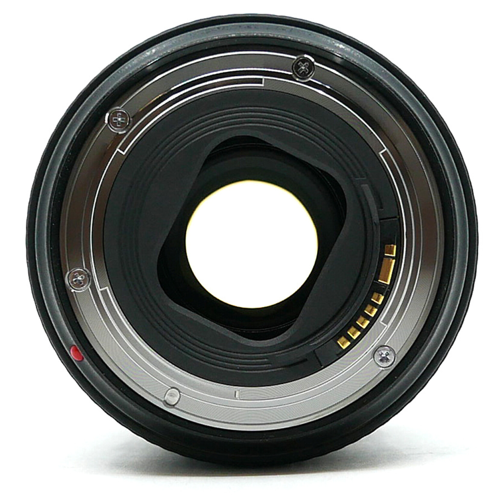 Canon EF 24-105mm f4L II Lens - Pro Photo Canon EF 24-105mm f4L II Lens - Pro Photo