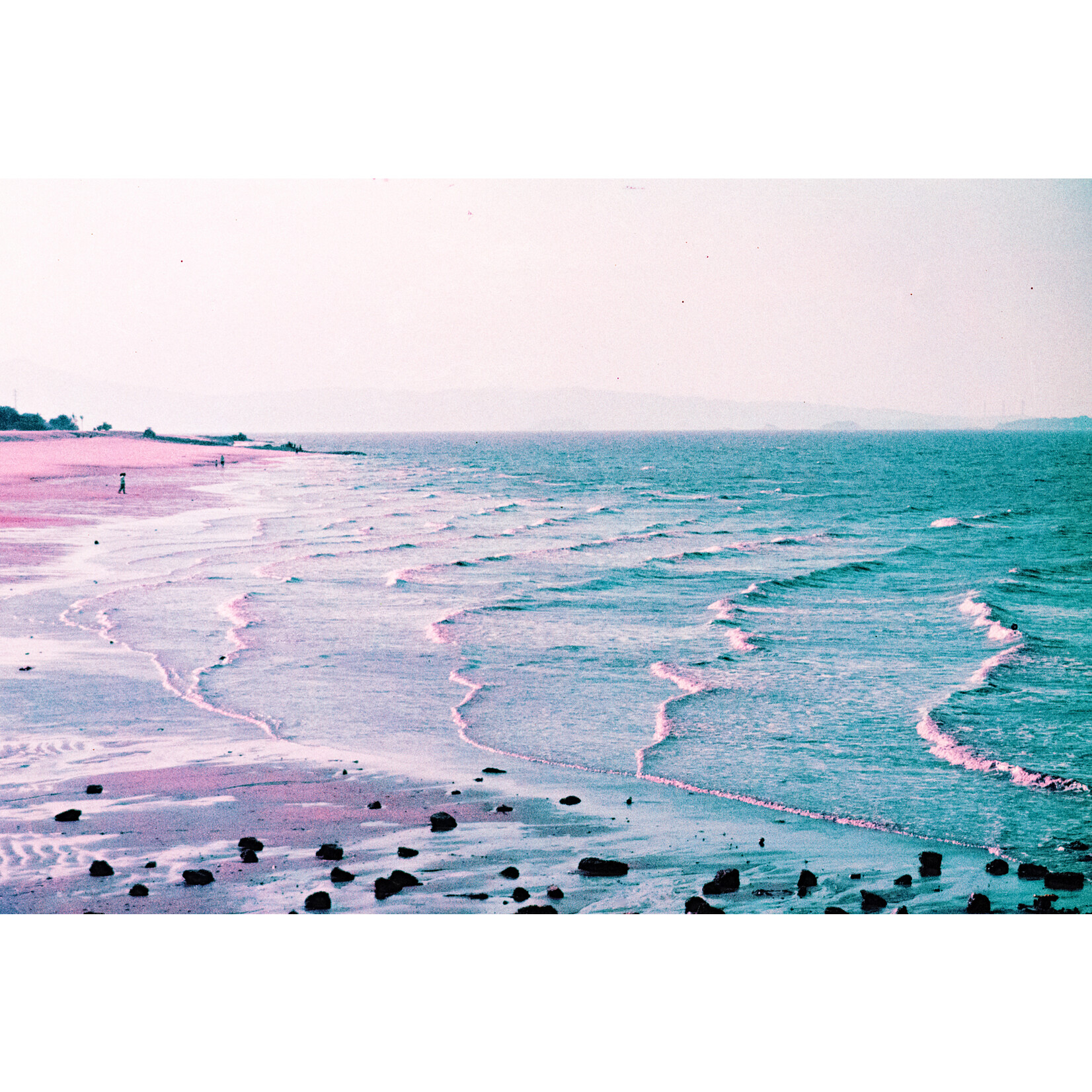 Lomography 2021 LomoChrome Purple Pétillant 120 ISO 100–400