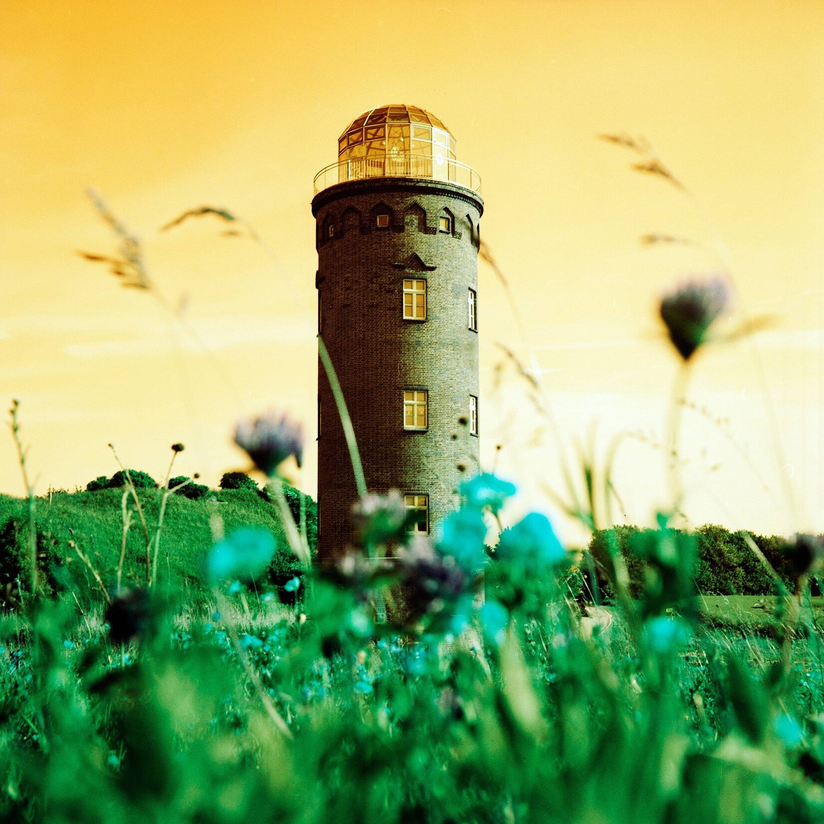 Lomography Lomography Turquoise 120 Film