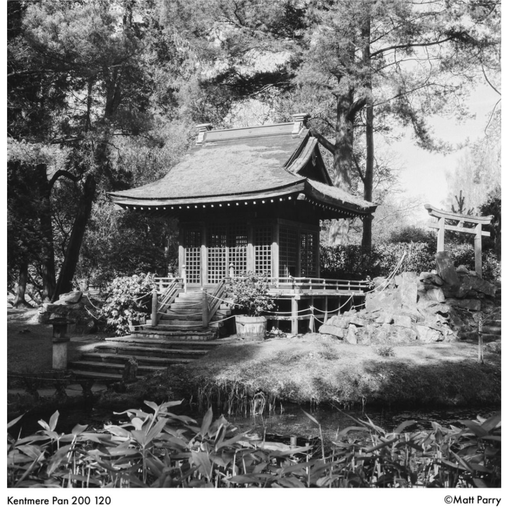Kentmere KENTMERE 200, 120