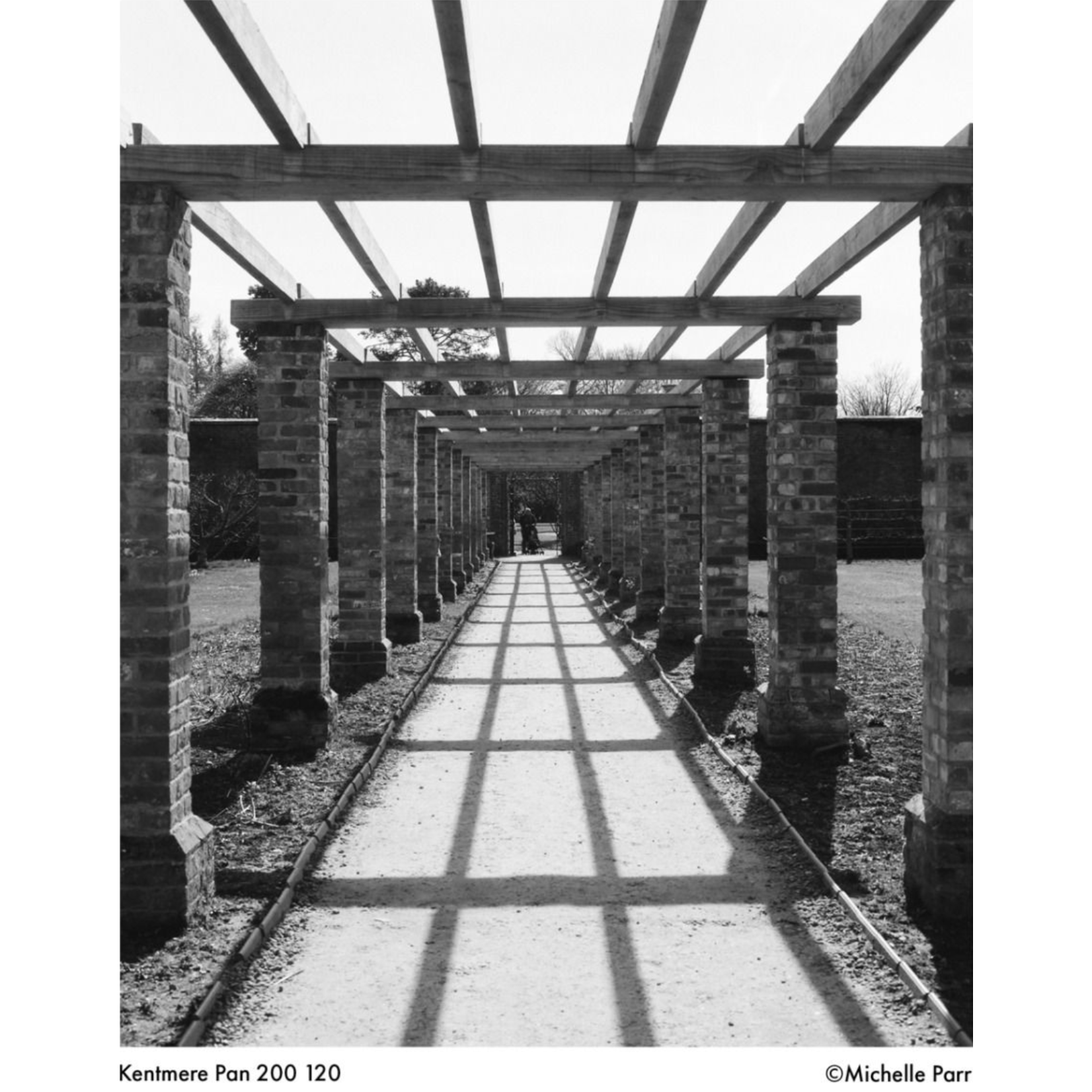 Kentmere KENTMERE 200, 120