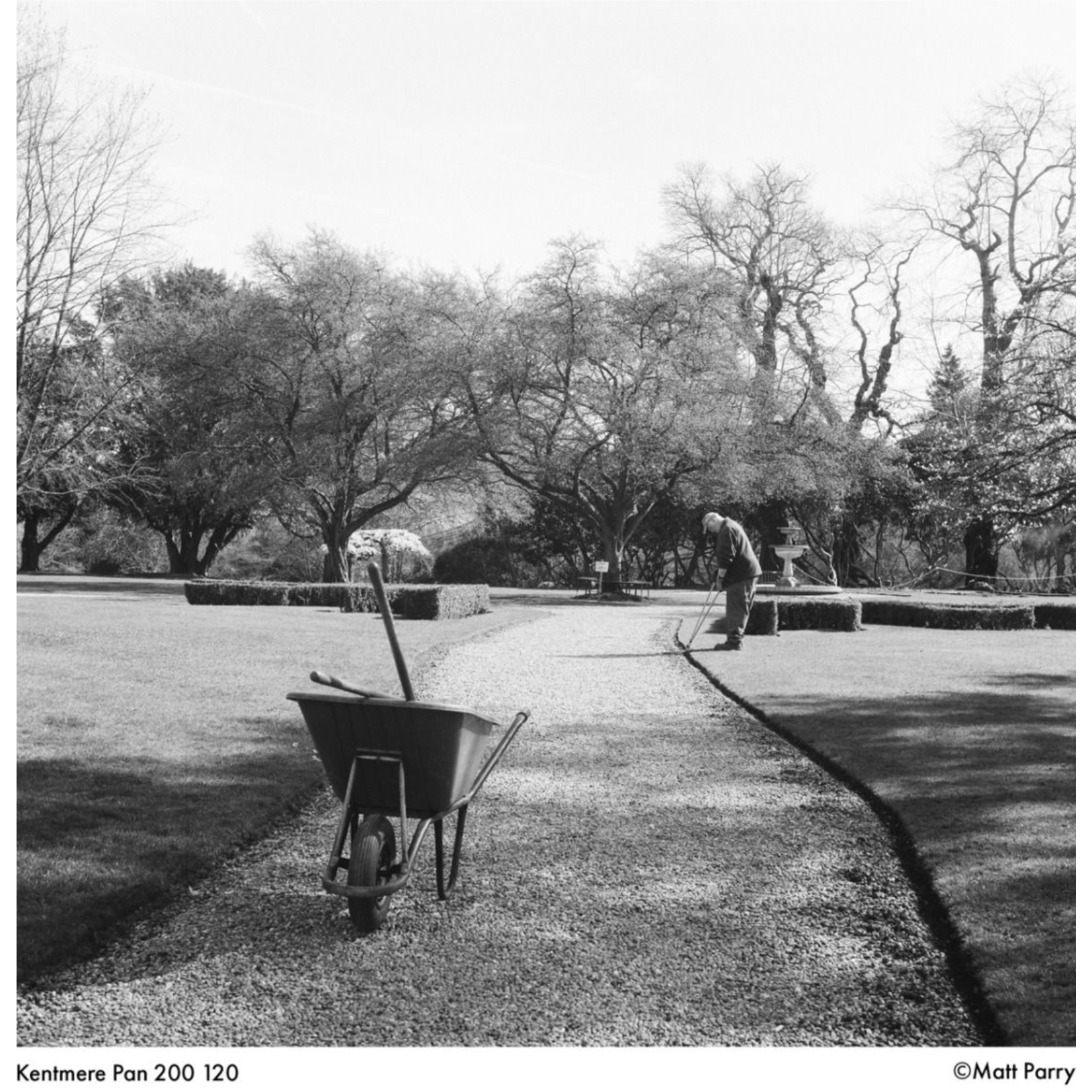 Kentmere KENTMERE 200, 120