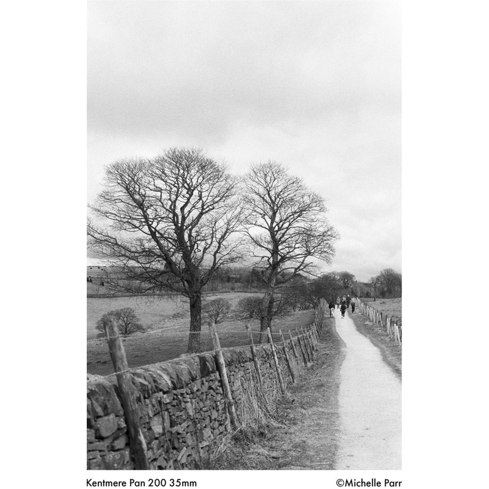 Kentmere Kentmere Pan 200 35mm 36 EXP