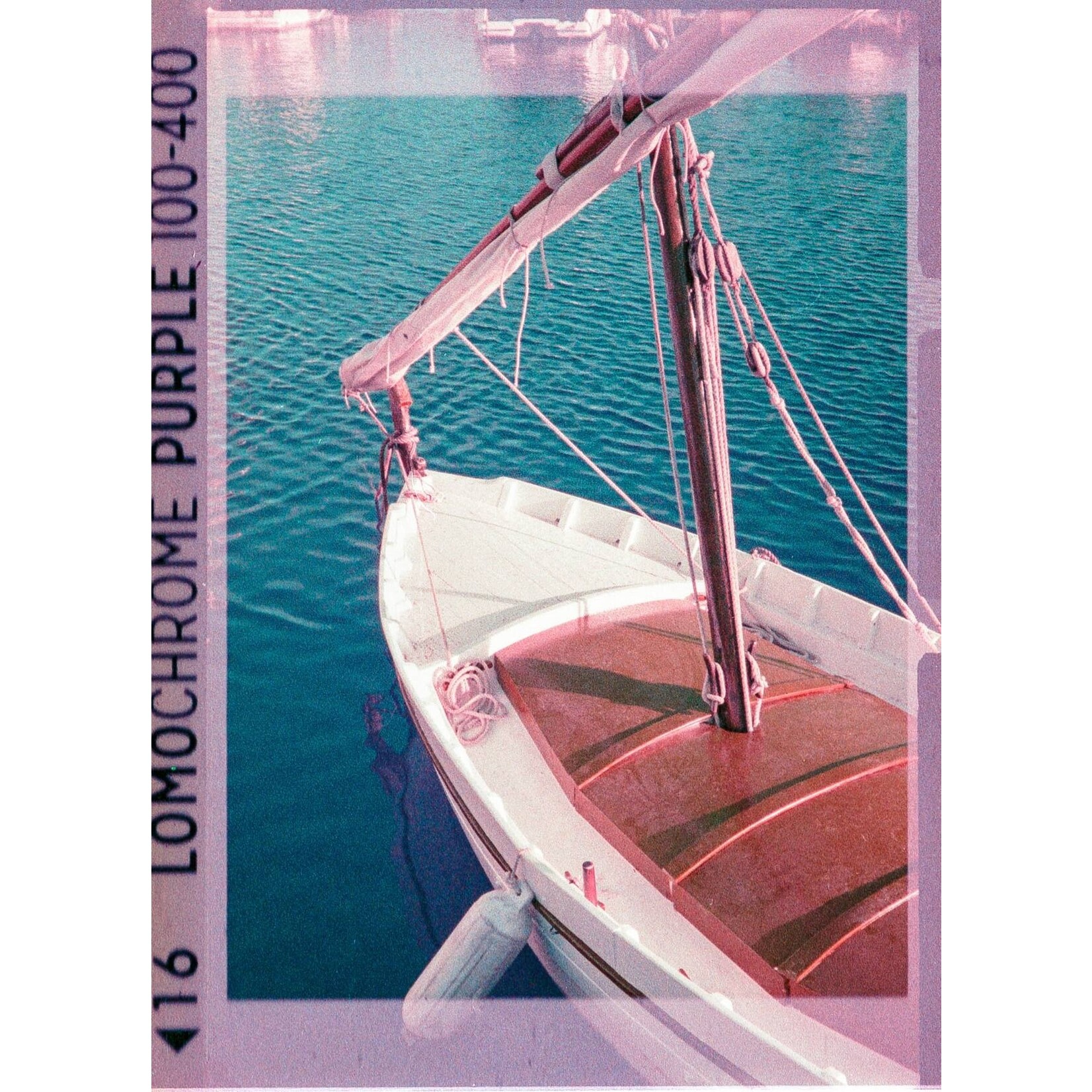 Lomography 2021 LomoChrome Purple 110 ISO 100–400