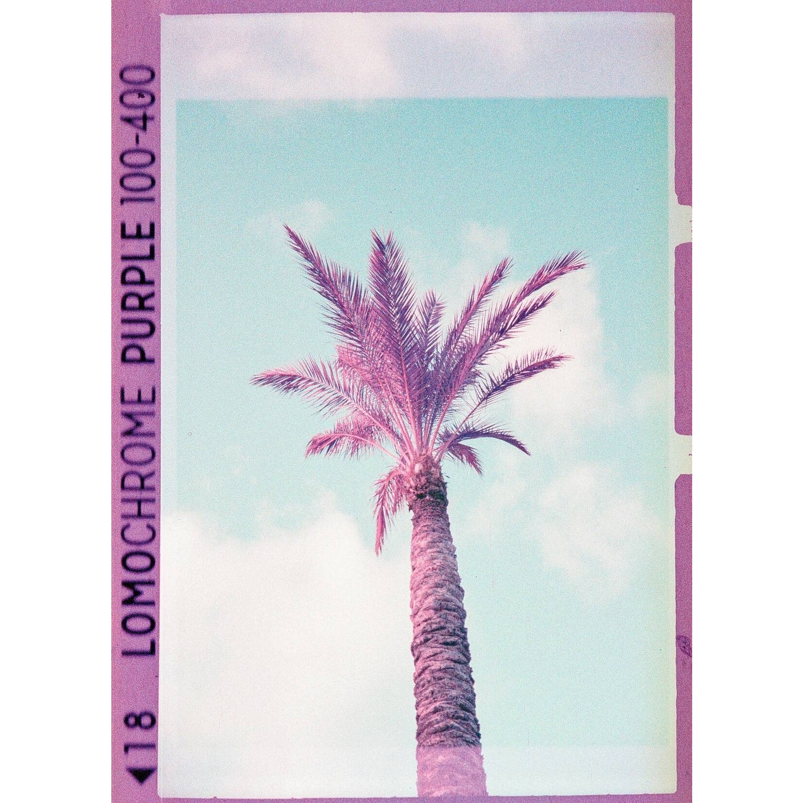 Lomography 2021 LomoChrome Purple 110 ISO 100–400