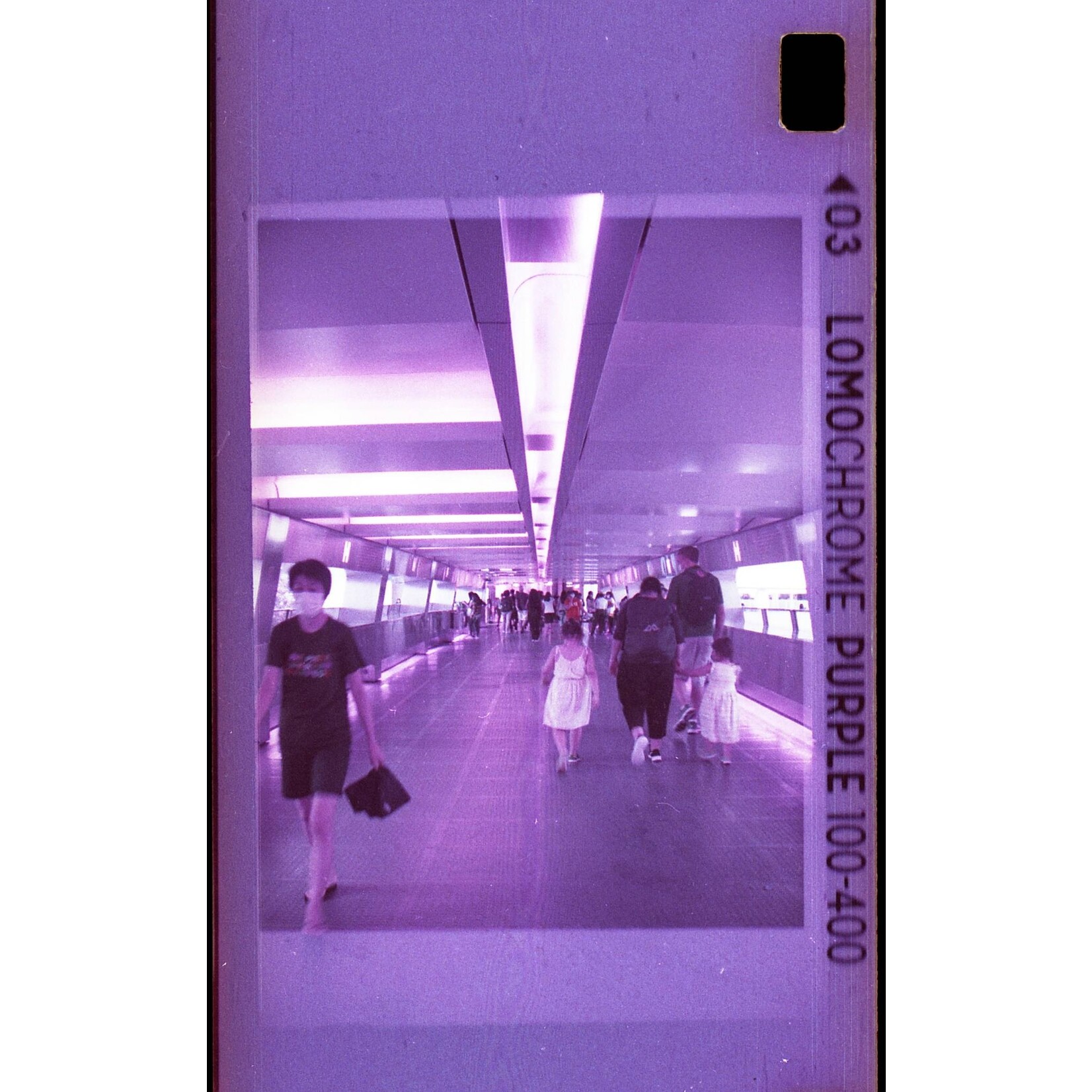 Lomography 2021 LomoChrome Purple 110 ISO 100–400