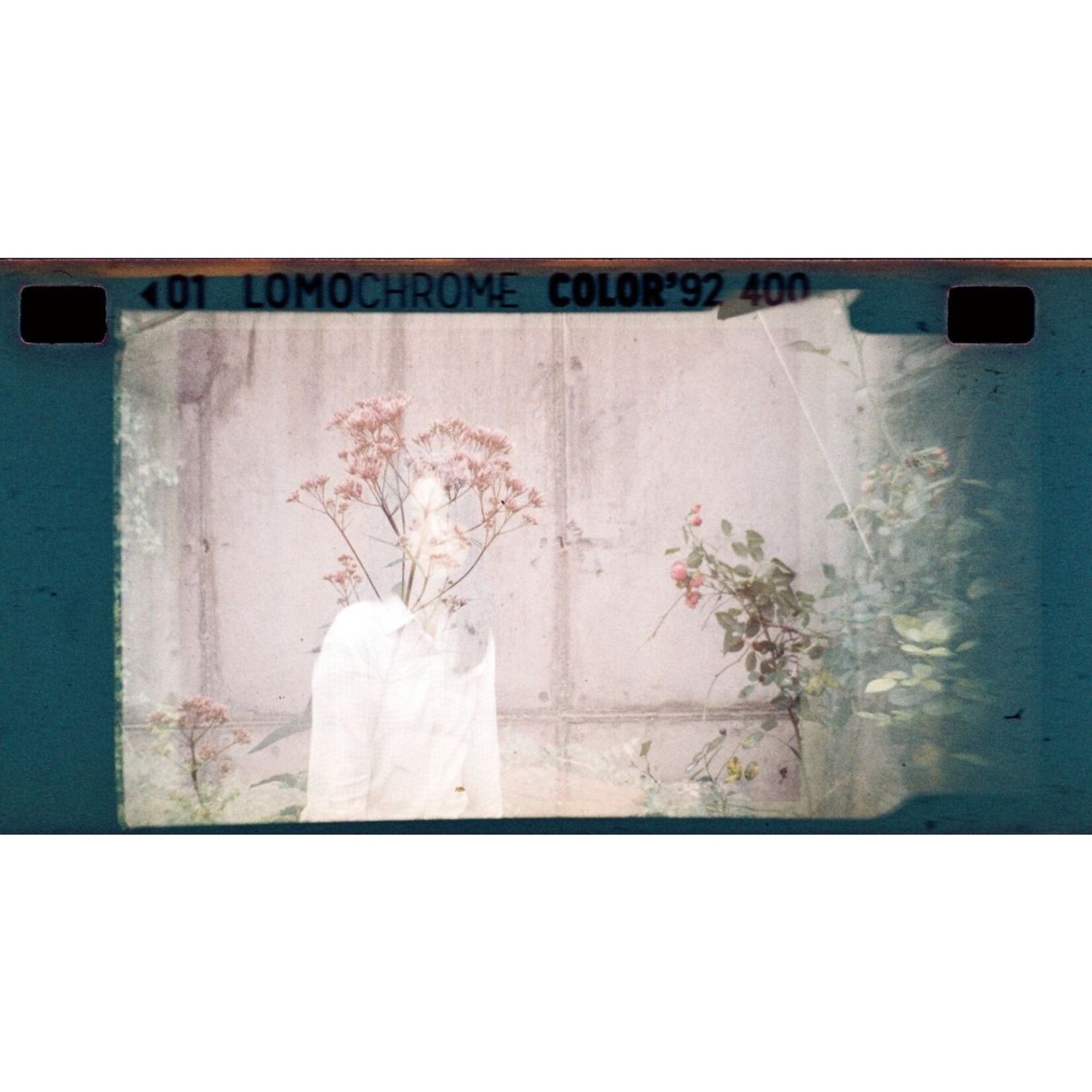 Lomography LomoChrome Color ’92 Sun-kissed 110 ISO 400