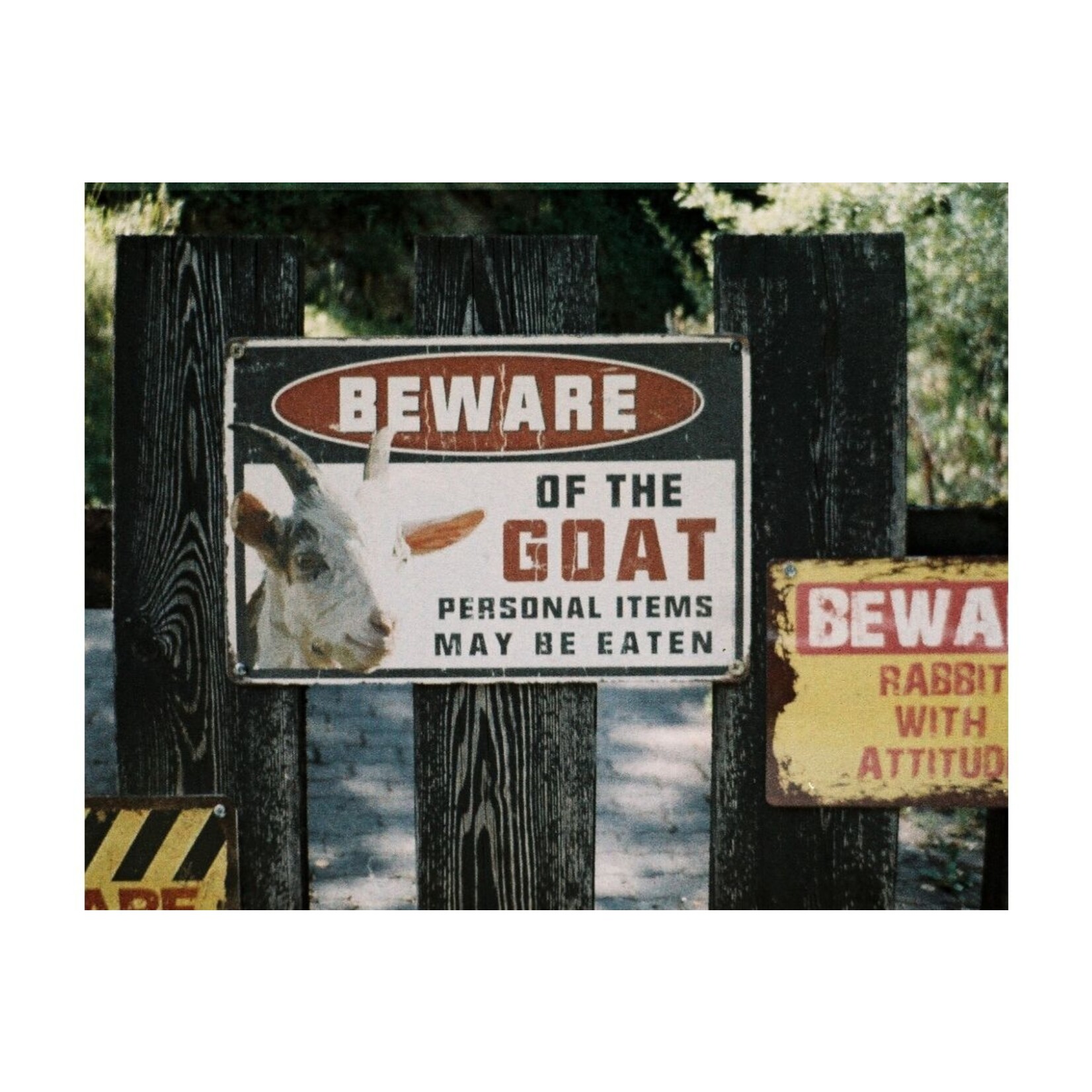 Lomography LomoChrome Color ’92 Sun-kissed 110 ISO 400