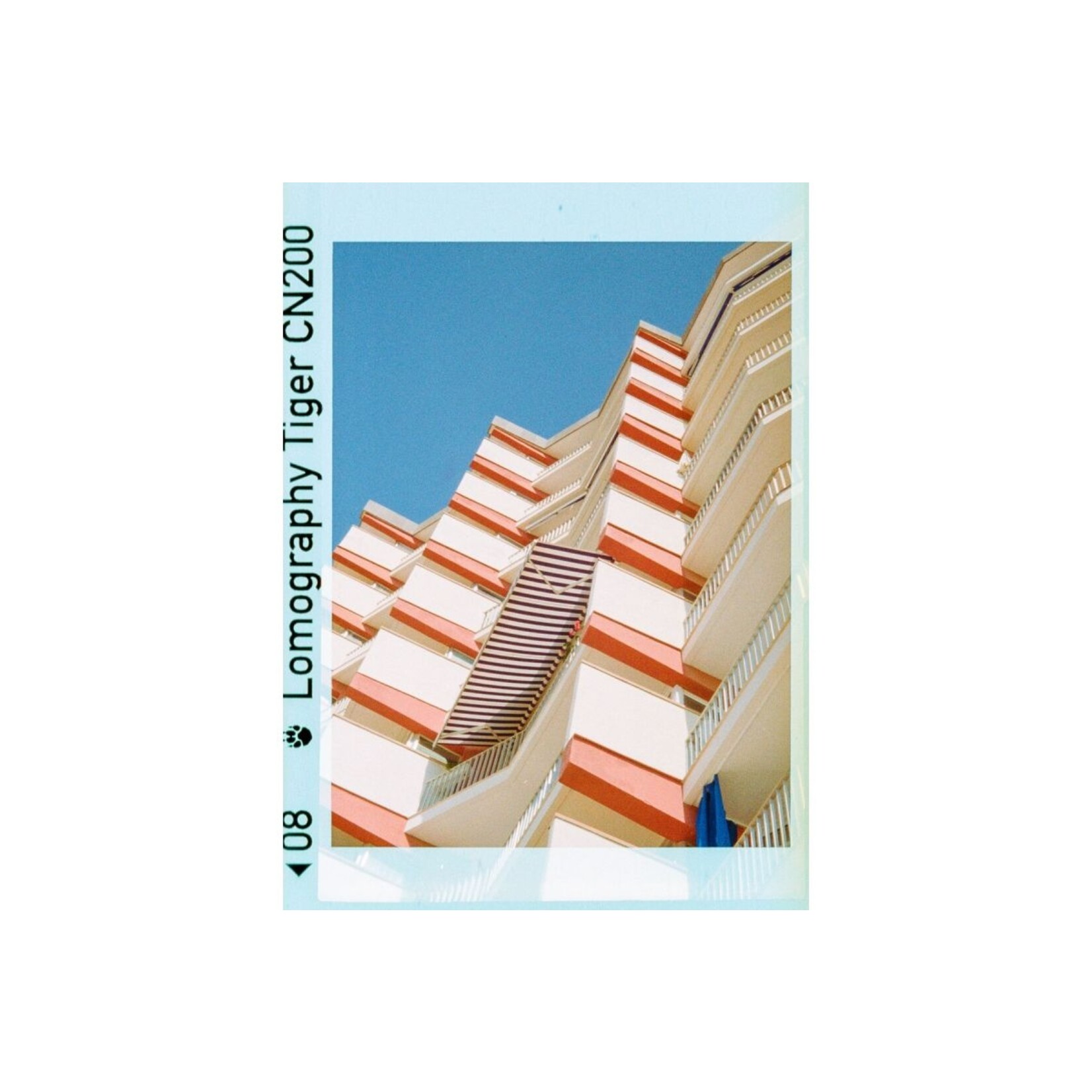 Lomography Lomography Color Tiger 110 200 ASA Single Pack