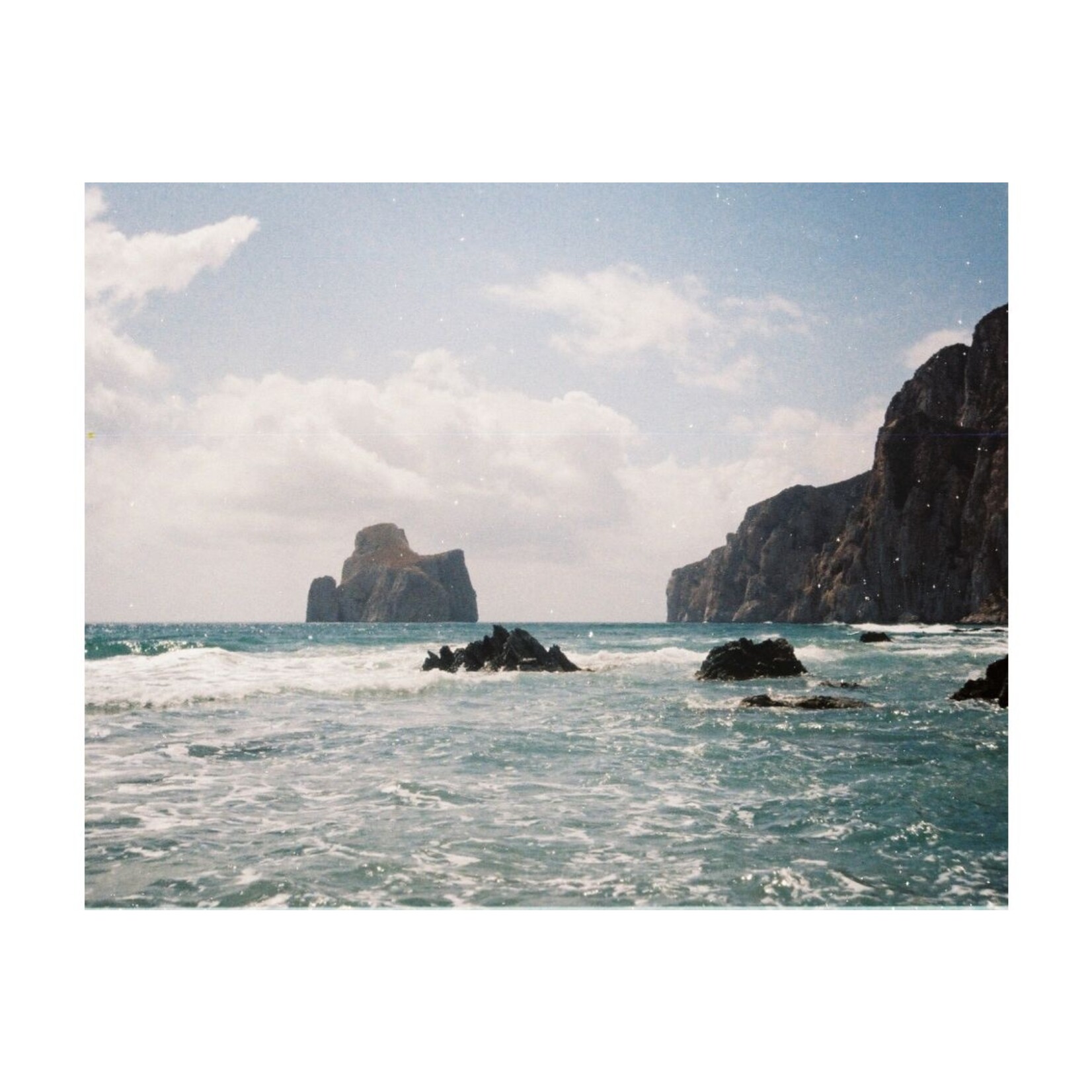 Lomography Lomography Color Tiger 110 200 ASA Single Pack