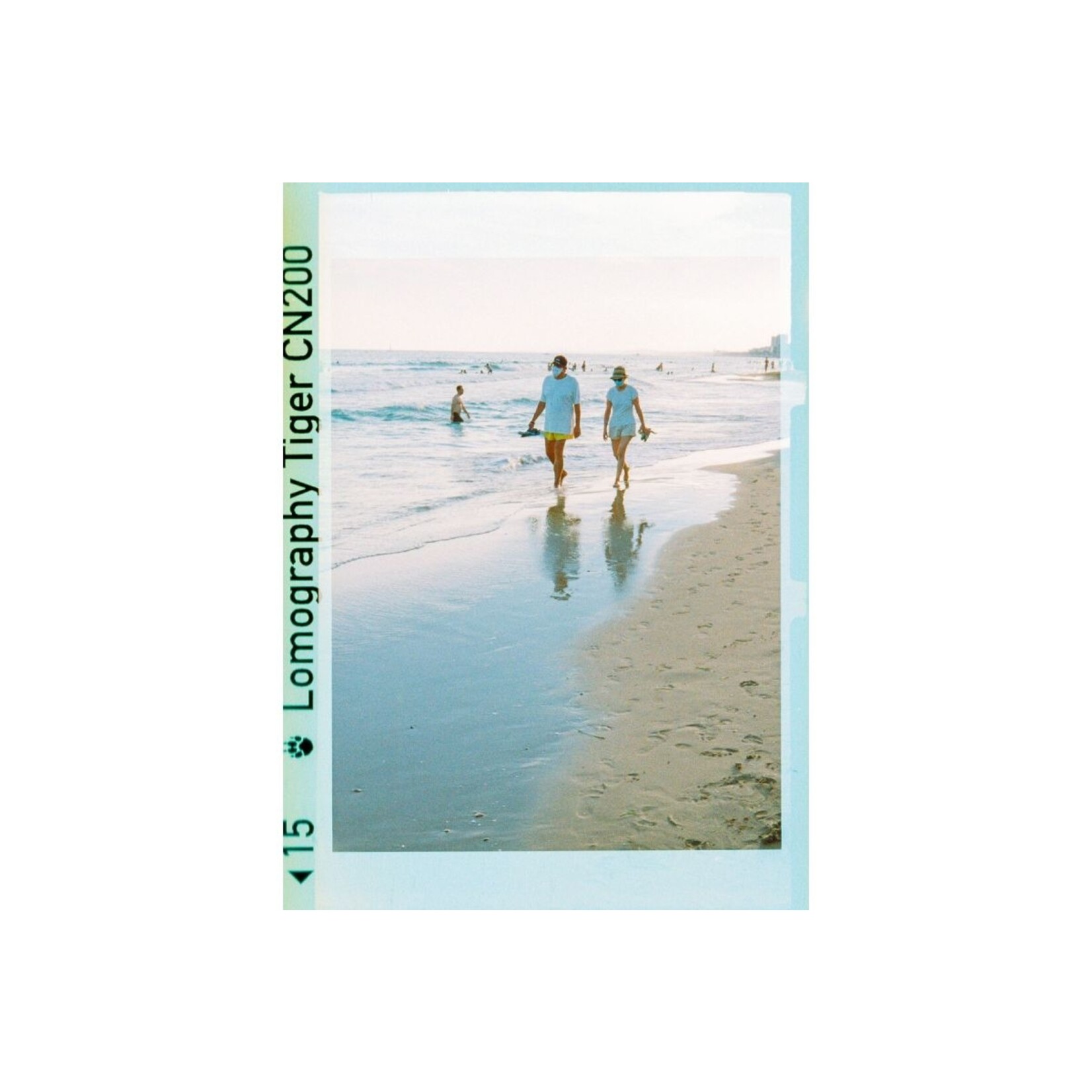 Lomography Lomography Color Tiger 110 200 ASA Single Pack