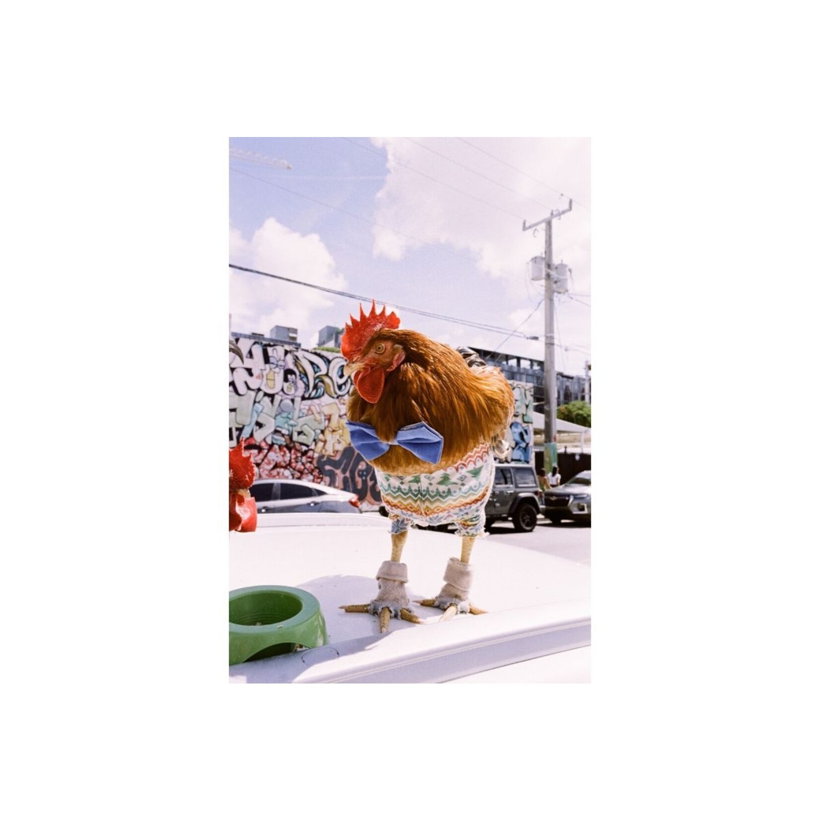 Lomography 2021 LomoChrome Metropolis 35 mm ISO 100–400