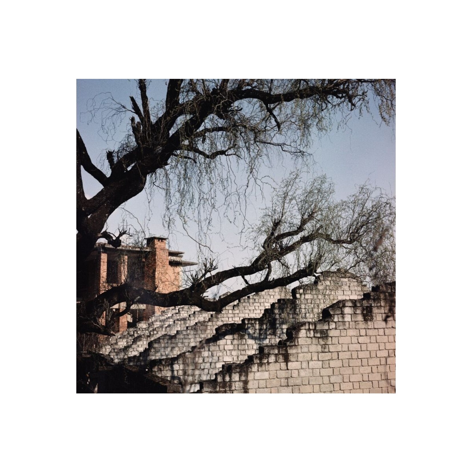 Lomography 2021 LomoChrome Metropolis 120 ISO 100–400