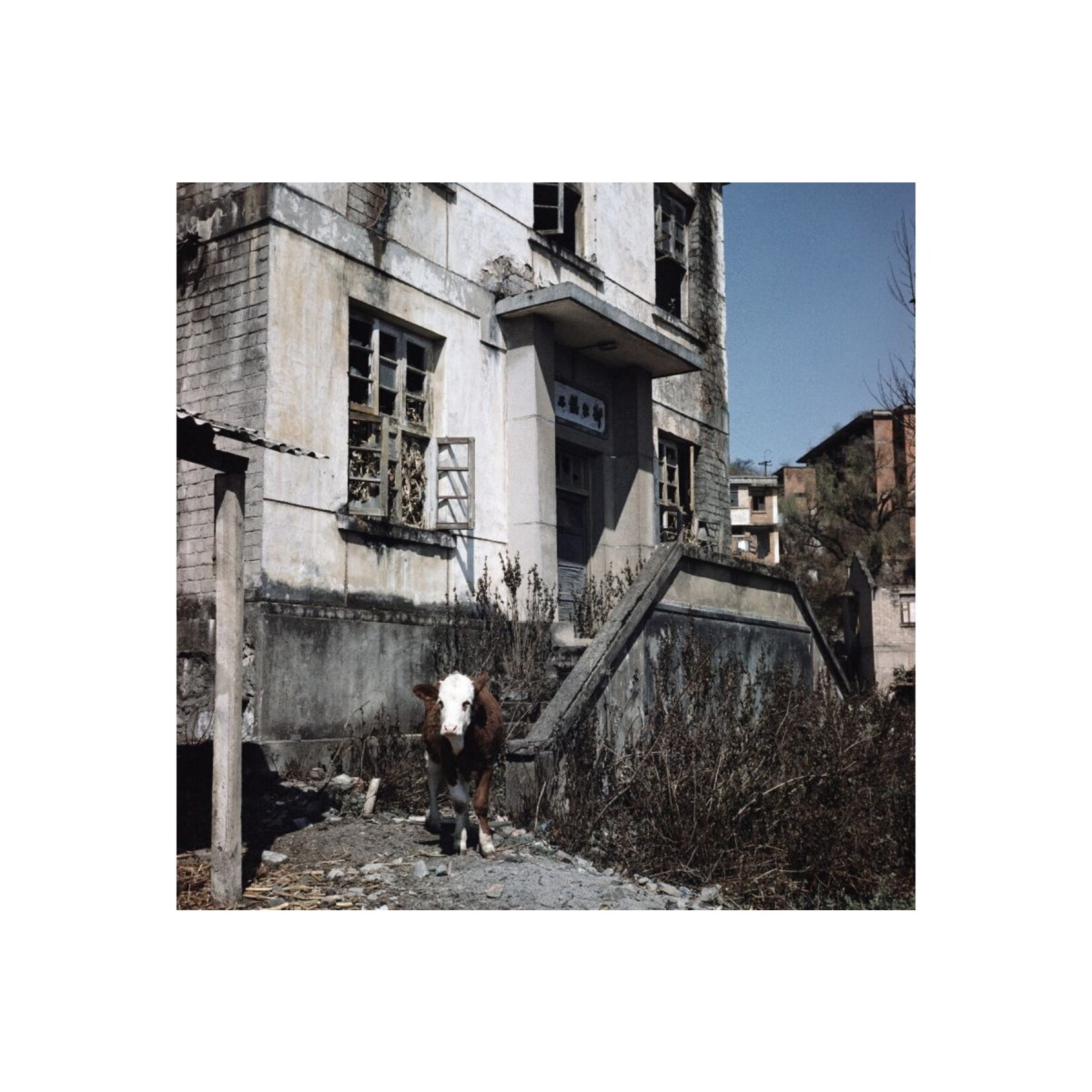 Lomography 2021 LomoChrome Metropolis 120 ISO 100–400