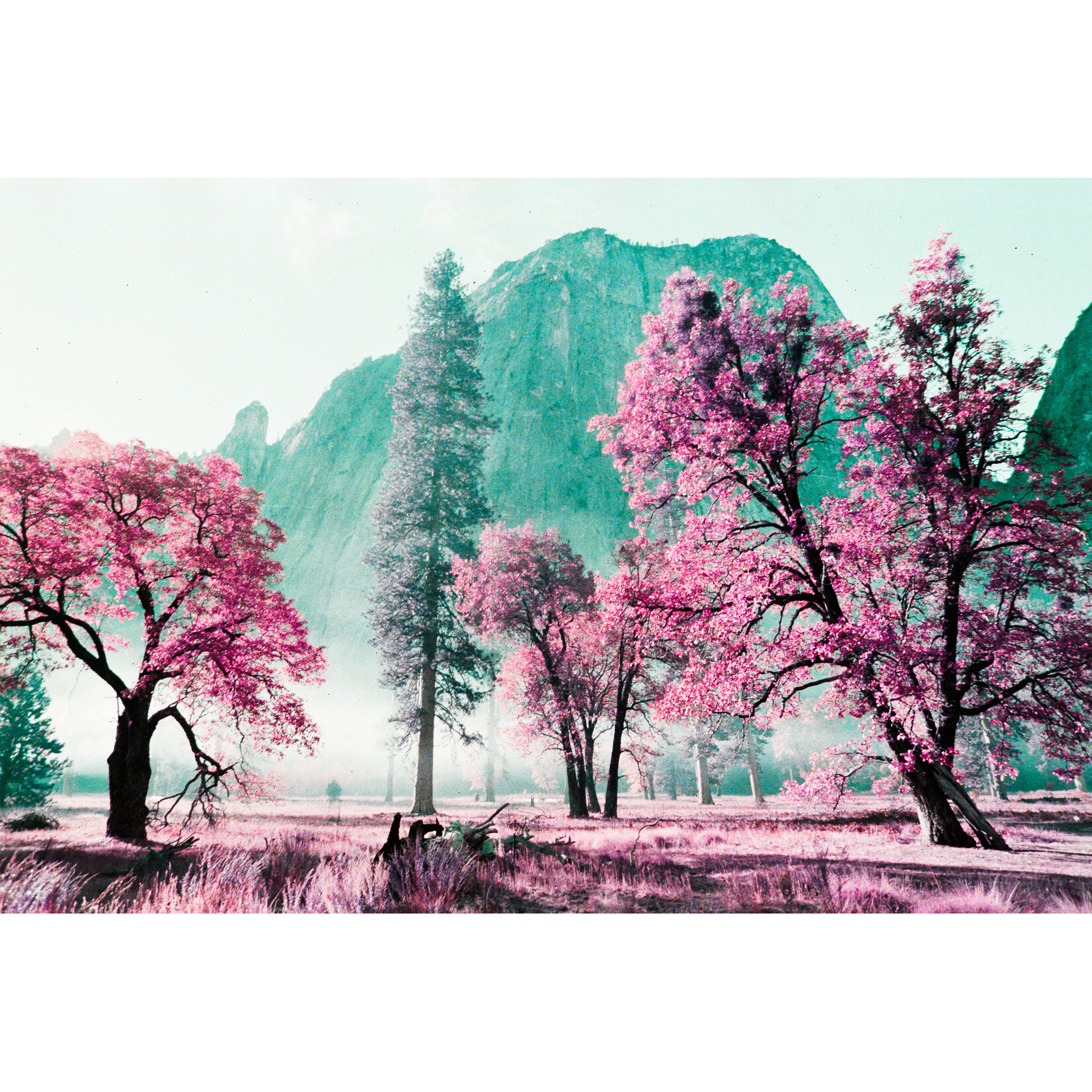 Lomography NEW Analogue Trio Mixed Film Pack 35 mm