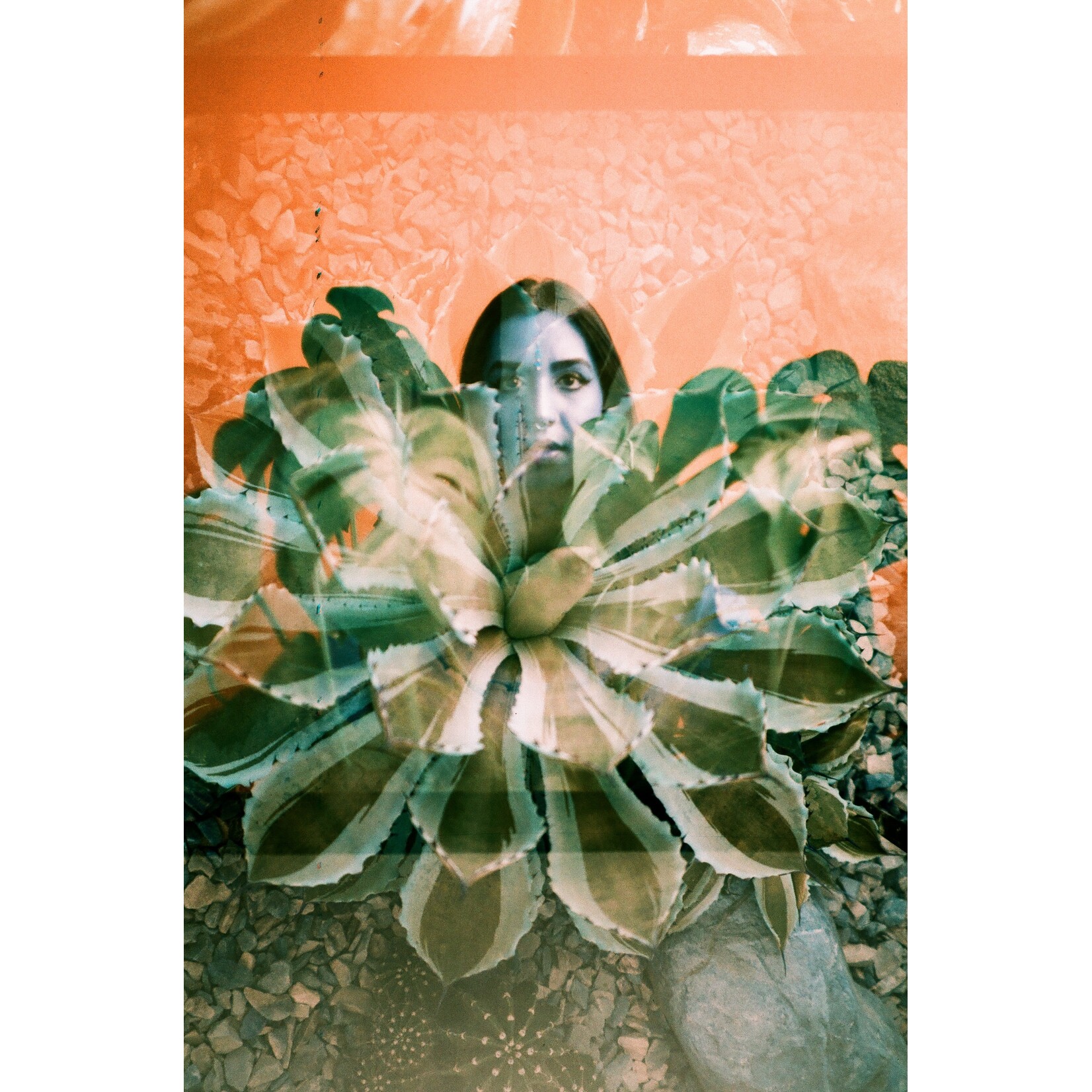 Lomography NEW Analogue Trio Mixed Film Pack 35 mm