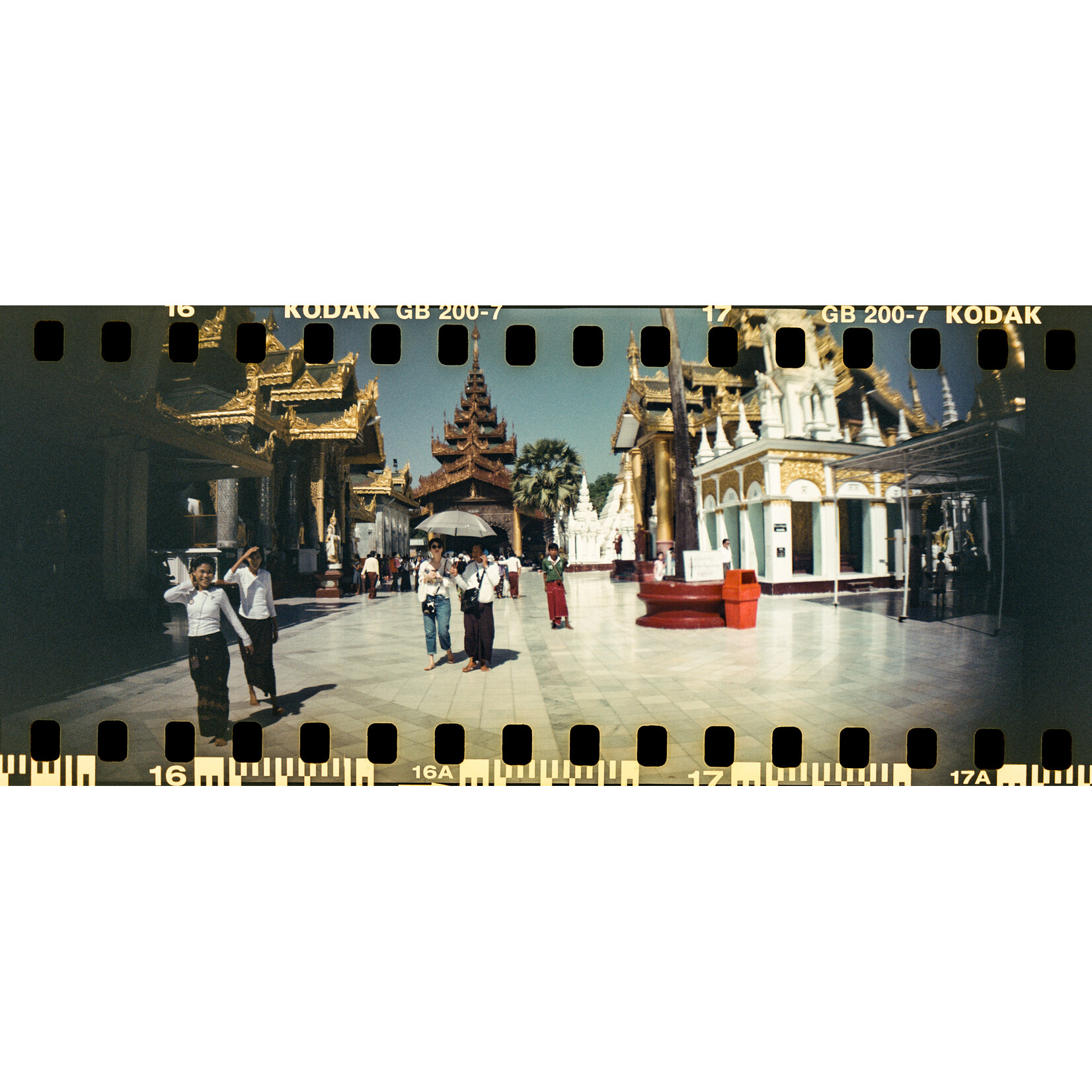 Lomography Sprocket Rocket 35 mm Panoramic Camera Peacock