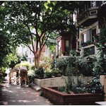 Slow Sunday | Abby Wheeler