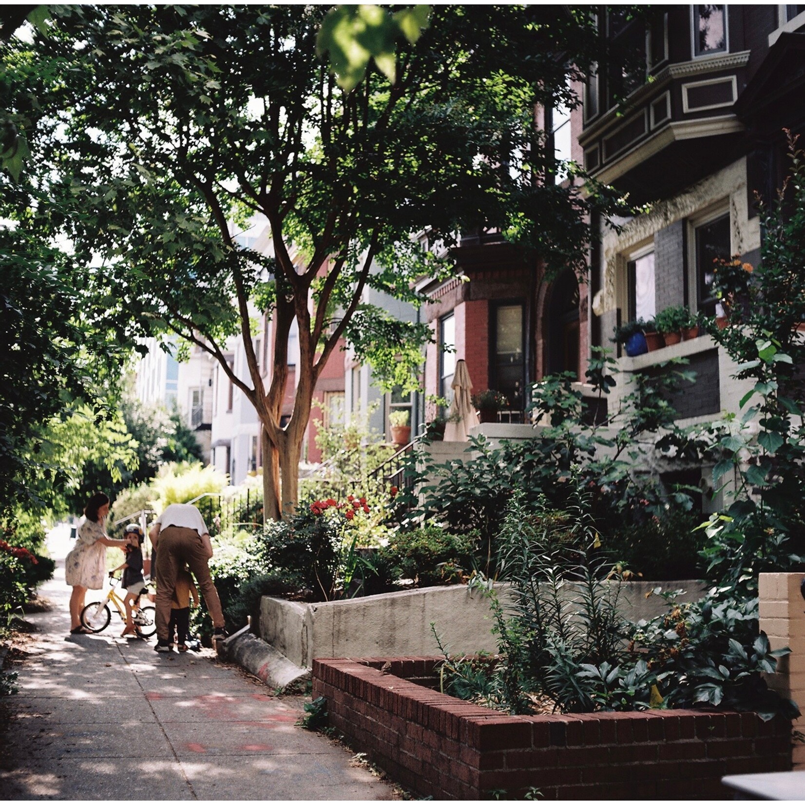 Slow Sunday | Abby Wheeler