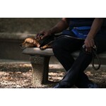 Sunday in the Park | Chita S. Middleton