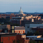 View From the City | Lila Wondimu