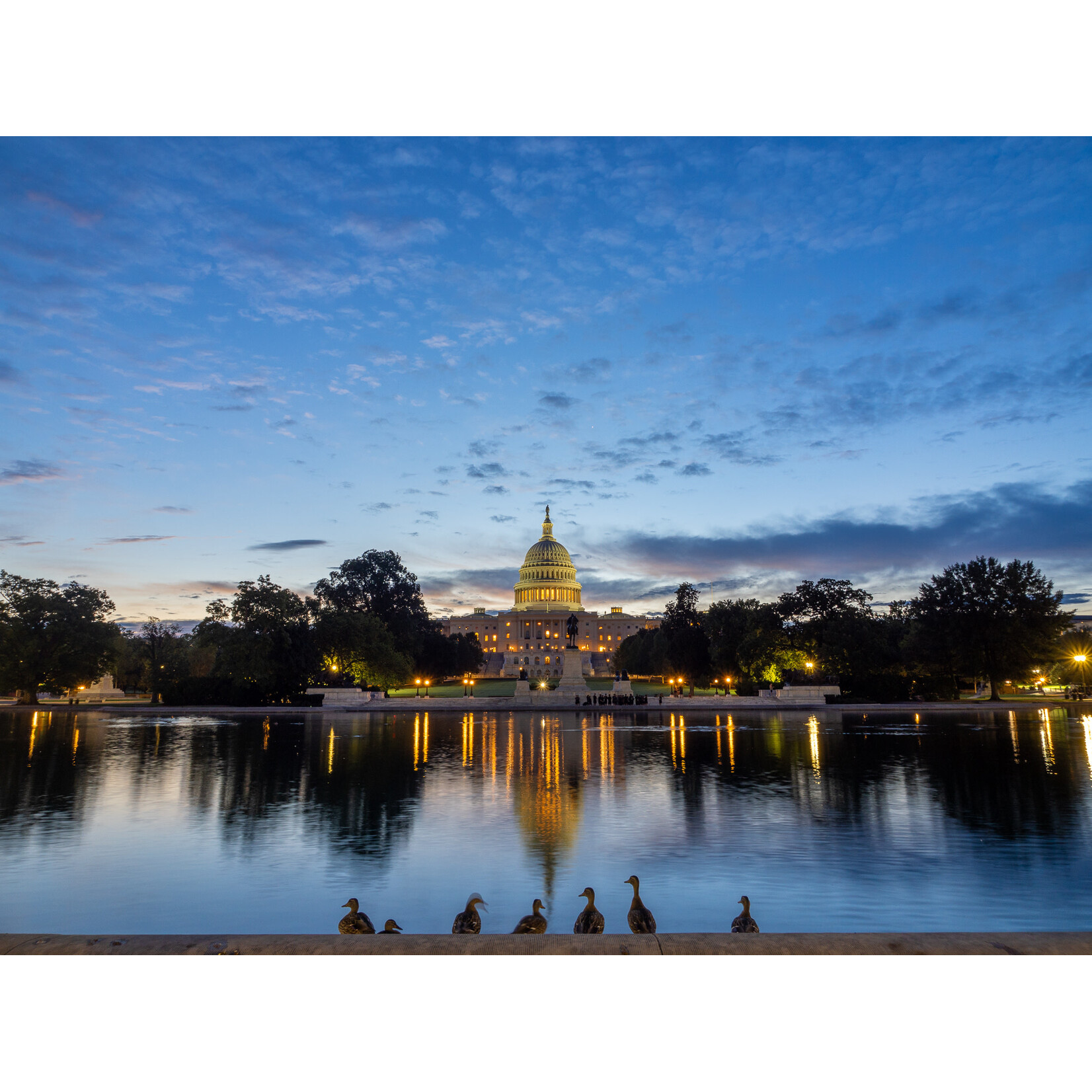 Blue Hour With Ducks at the Capitol | Ian Will