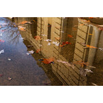 Mirror of Meridian | Henry Owen