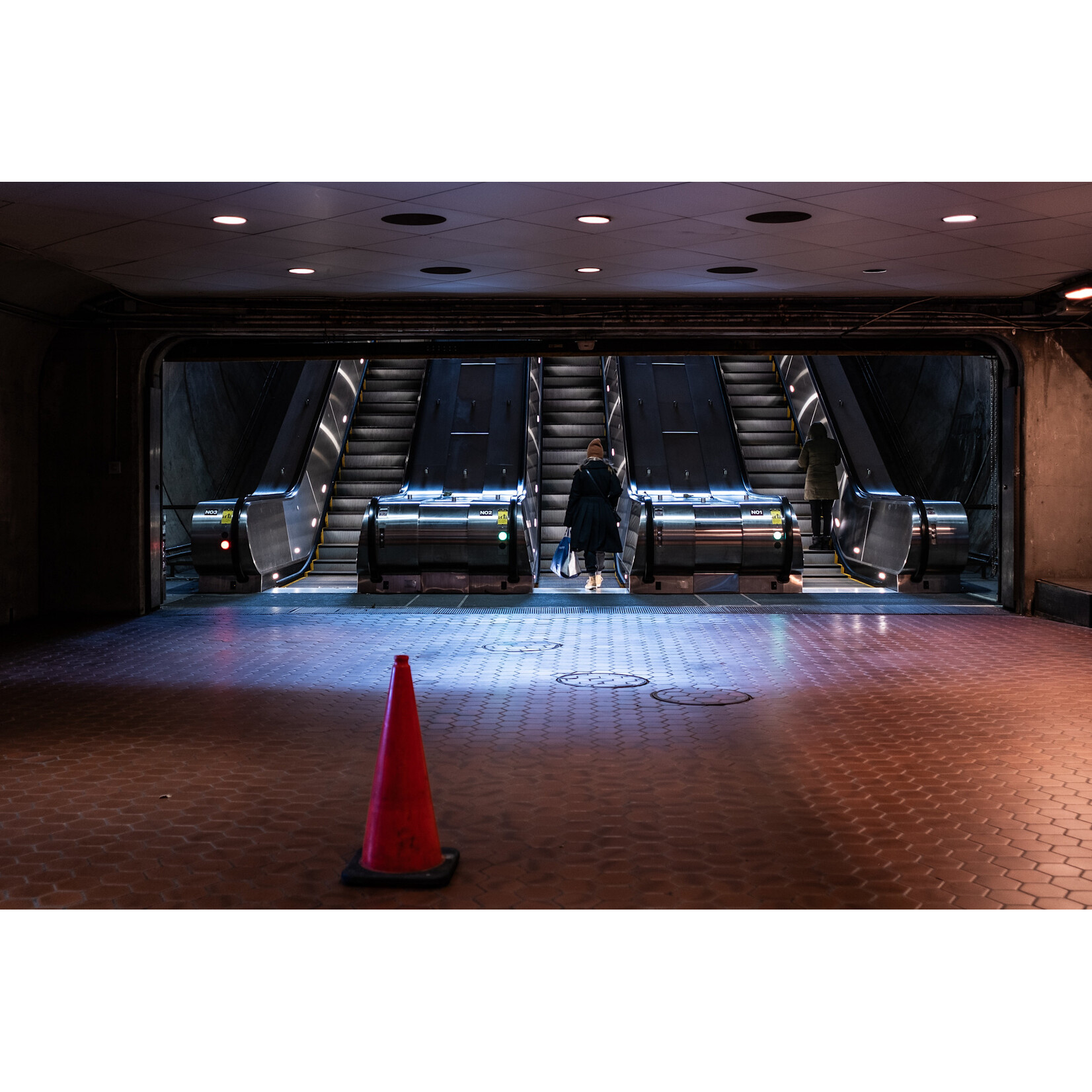 Quiet Transit | Dania Ibrahim