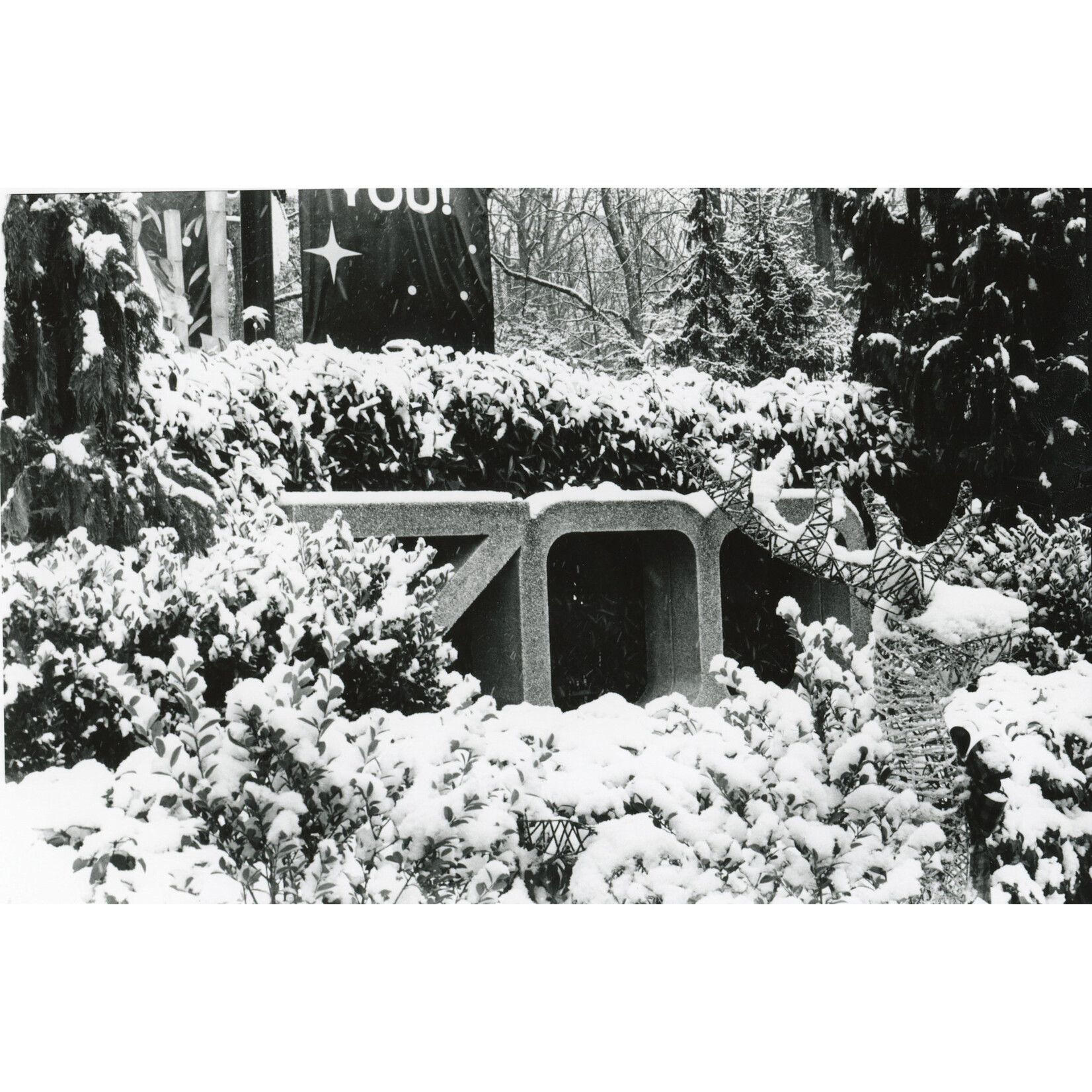 Seasonal Silence | Gabe Ingram