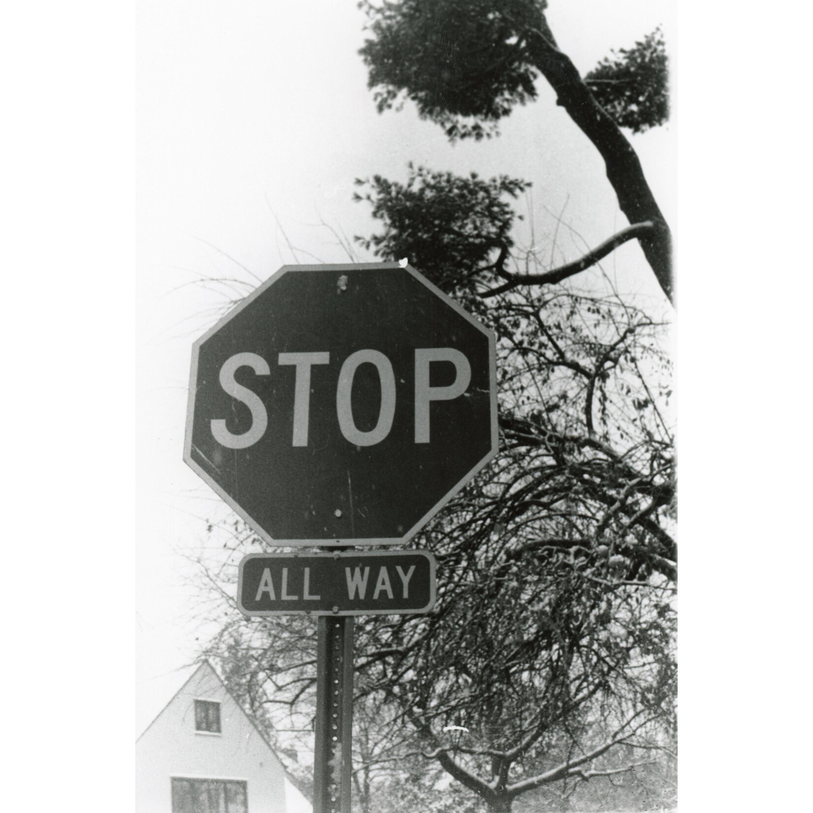 Pick Up, Throw, Stop Sign | Sofi Link