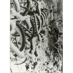 The Row of Bikes | Juliana Jones