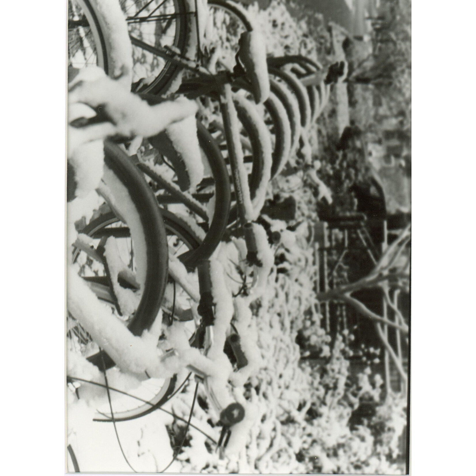 The Row of Bikes | Juliana Jones