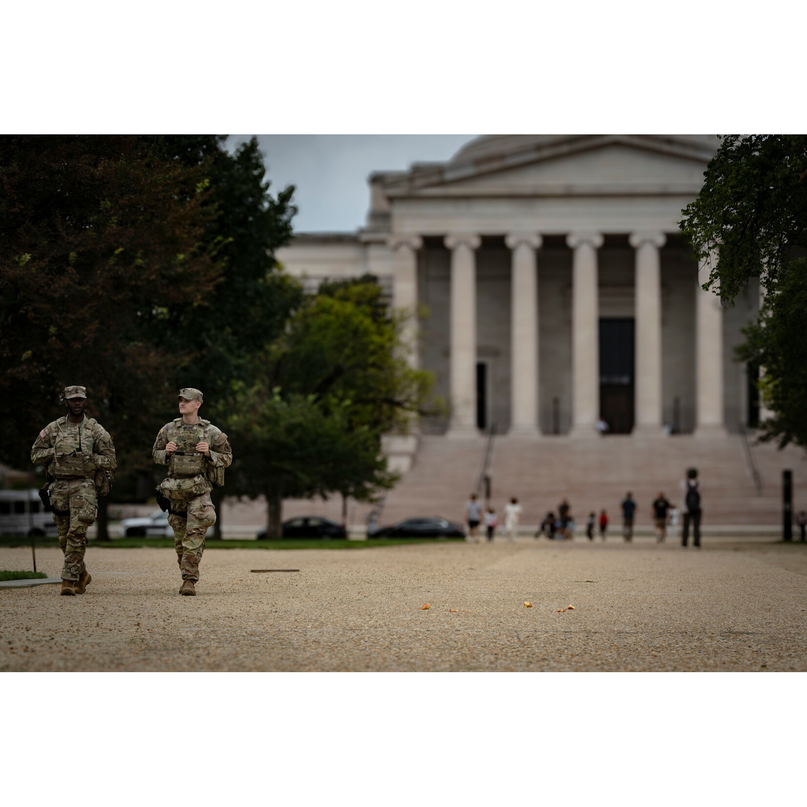 Local Occupation | Rafe Diefenbach