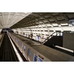 Going towards Glenmont | Sylvie Carlin