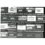 The Capital Region: Through License Plates | Liam Dobson