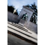 15th President | Sebastian Greenstein