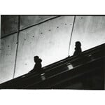 Interlinked | Wyatt Ross