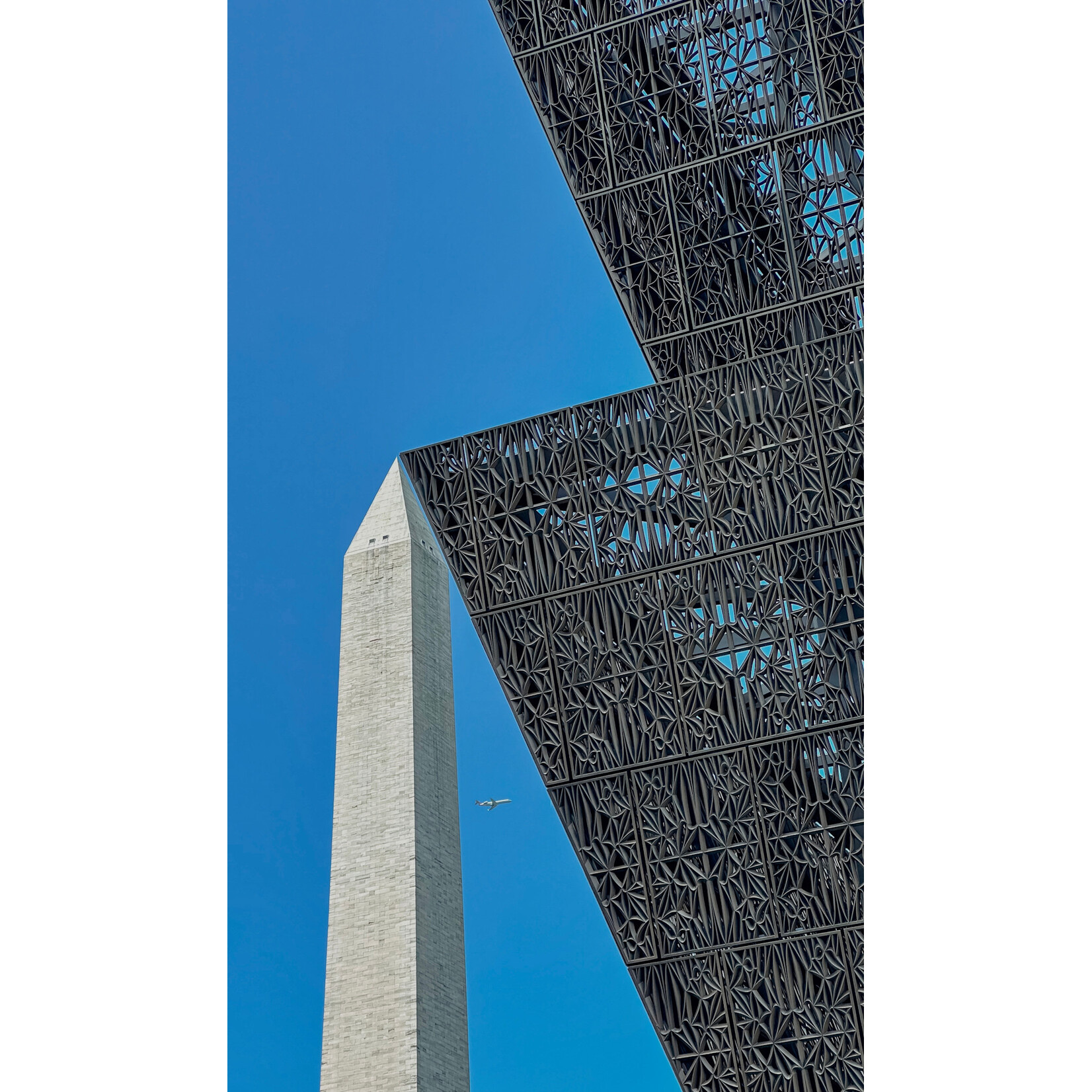 Monumental Contrast | Tina Kalandadze