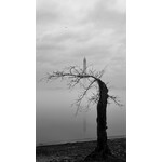 Farewell to Stumpy | Tina Kalandadze