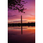 Washington Monument in Morning Glory | Rūta Kuzmickaitė