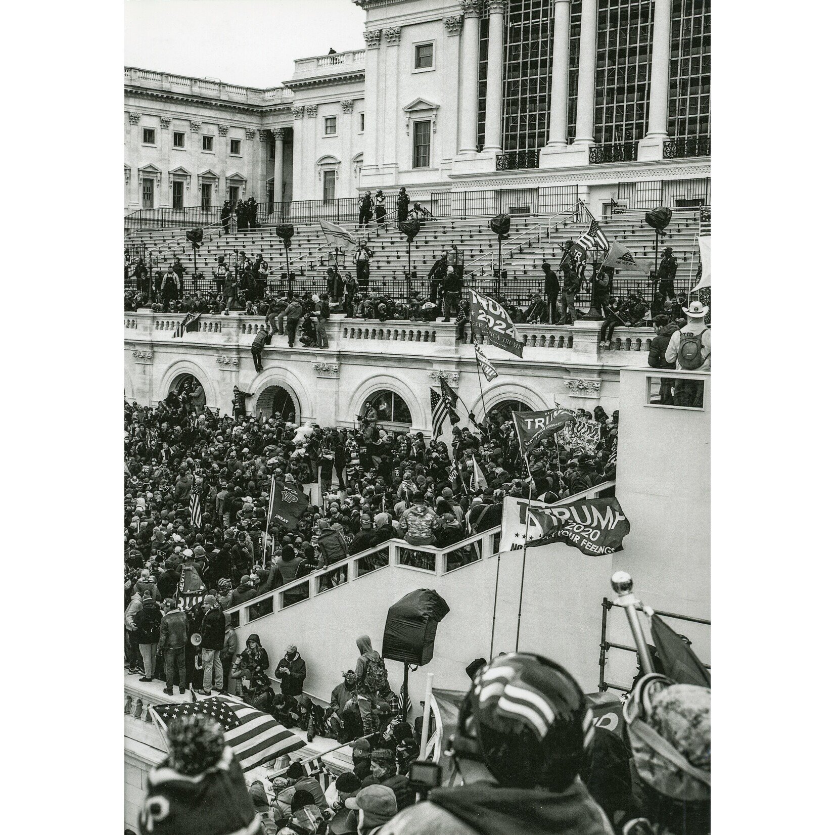 "Path to Insurrection" Chris Suspect