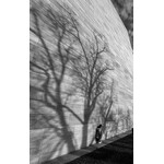 Imprint of a Tree, 2024 | Tina Kalandadze