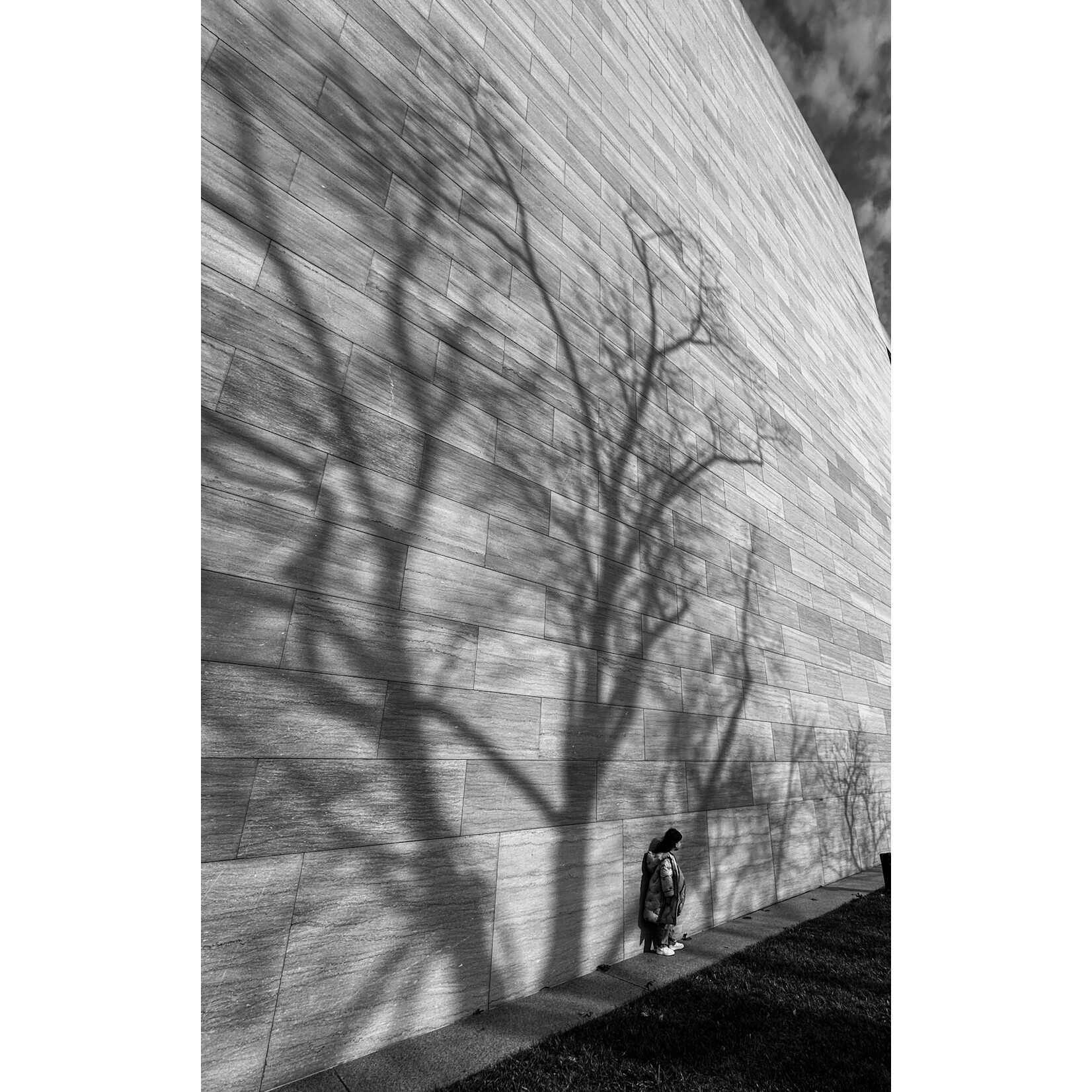 Imprint of a Tree, 2024 | Tina Kalandadze