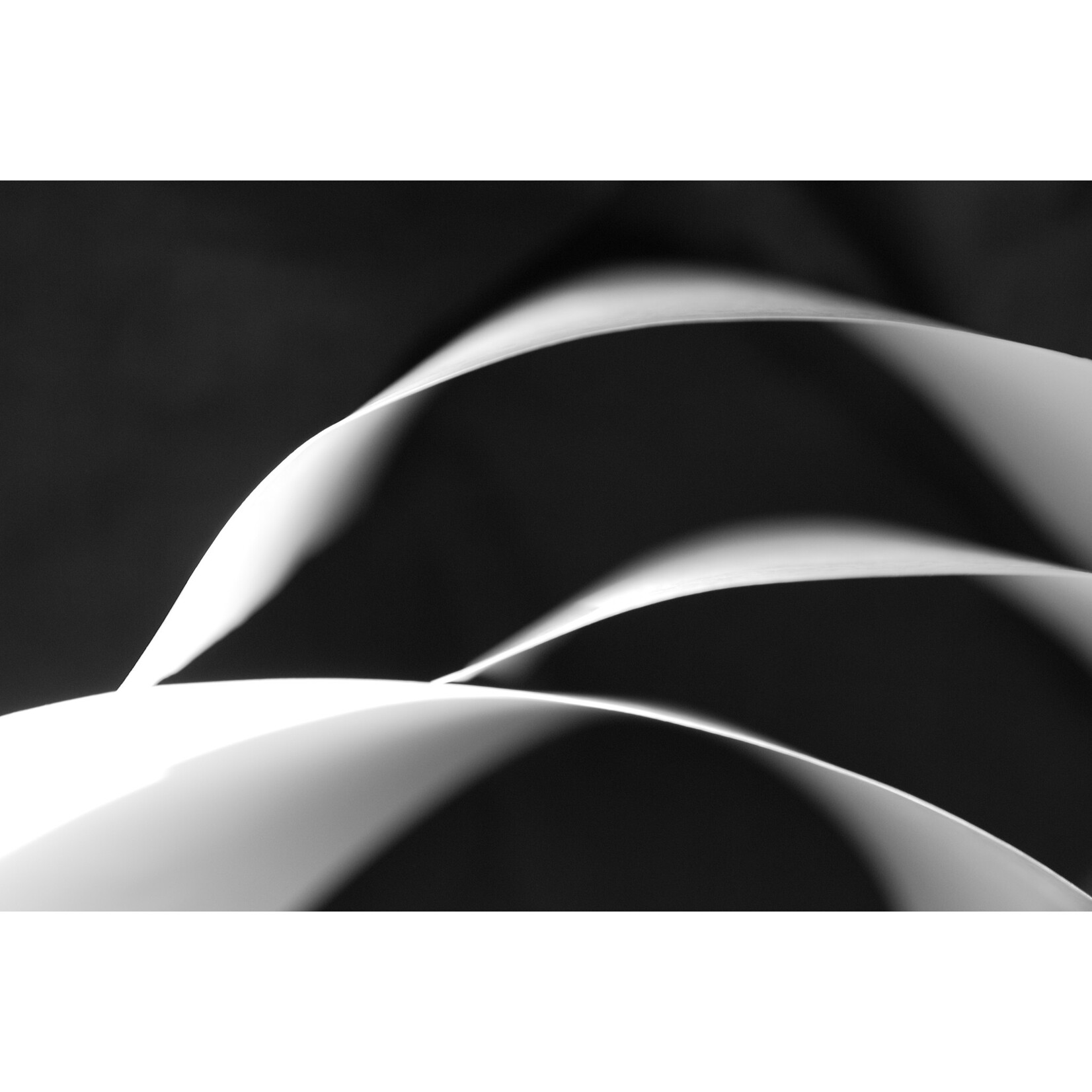 Waves, 2007 | Tina Staffieri