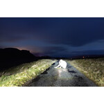 Before I Disappear 2 | Tobias Shaw