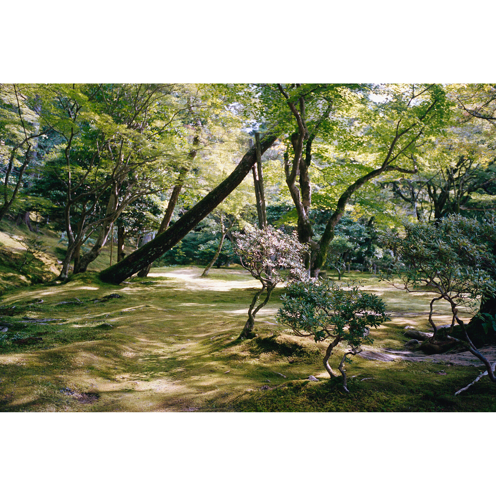 Temple of the Silver Pavilion, 2023 | Ben Schmida