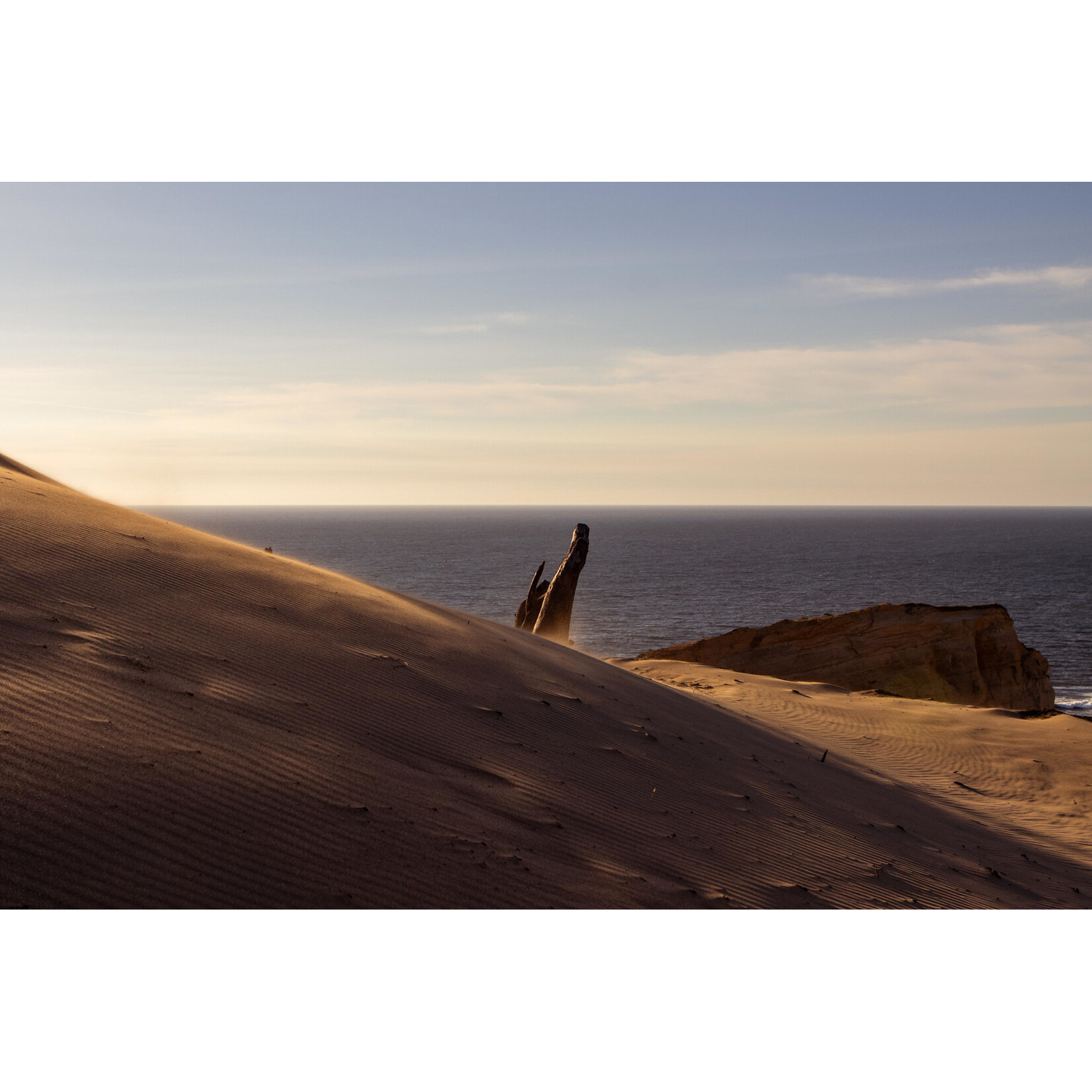 The Slow Rush, 2025 | Michael Spooner