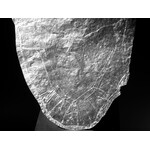 Lower Manhattan, 2025 | Scott Davis