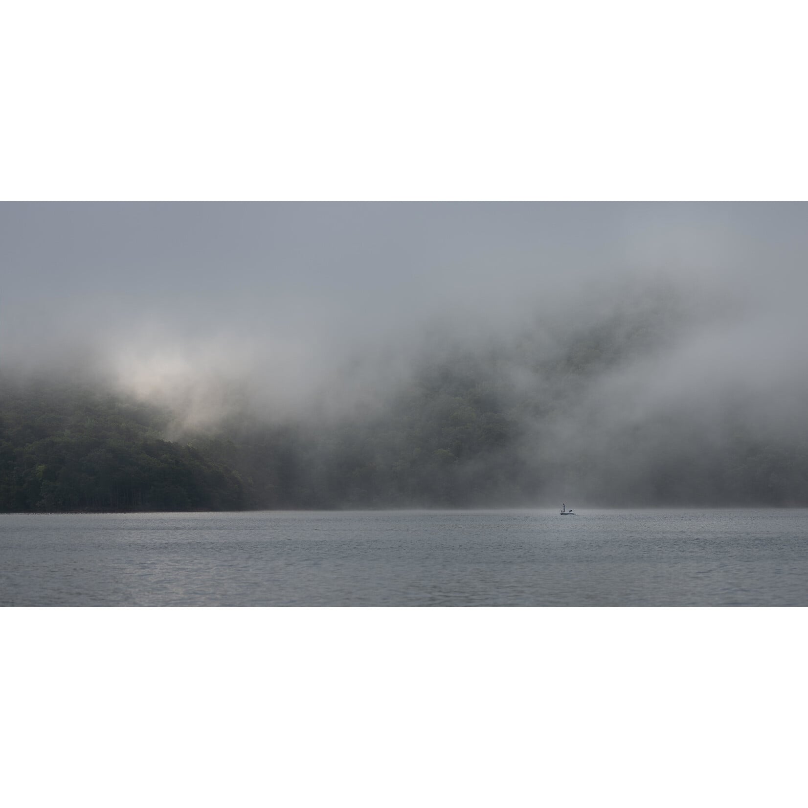 Fishy Fog, 2019  | Sally Baghdassarian